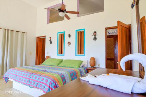 tortuga-room2